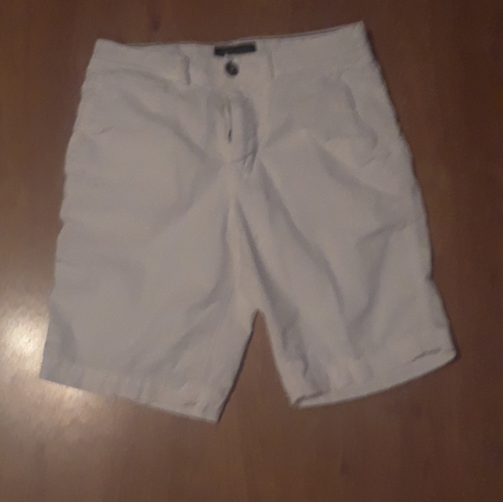 American Eagle  Men's Shorts Size 28 EUC
